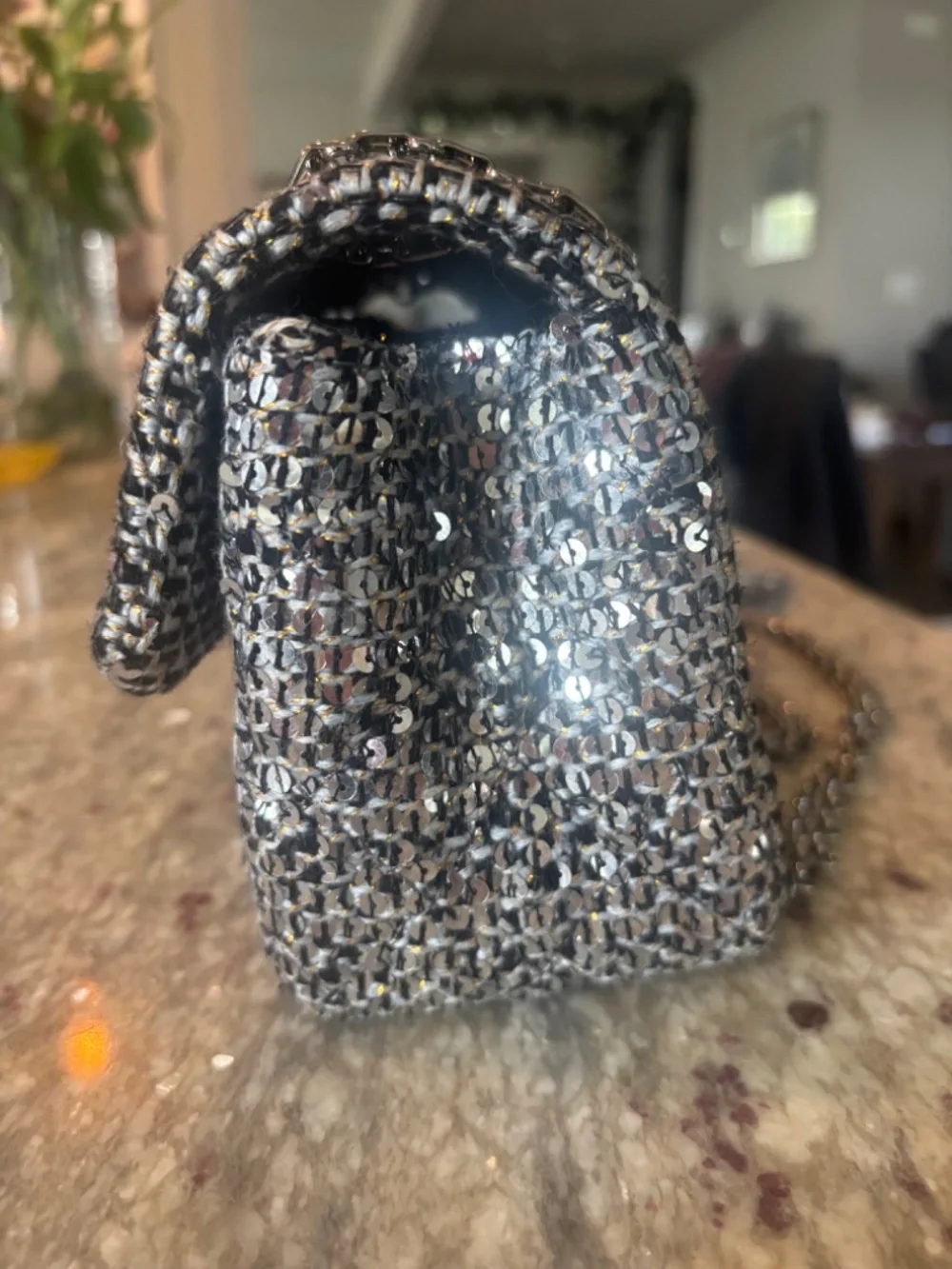 Chanel 2.55 Reissue Silver Sequin Tweed Flap Bag